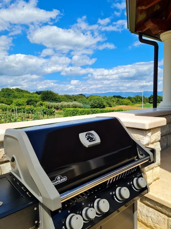 Holiday Apartment Villa Bianca - Low Season Rent Pazin Exterior foto