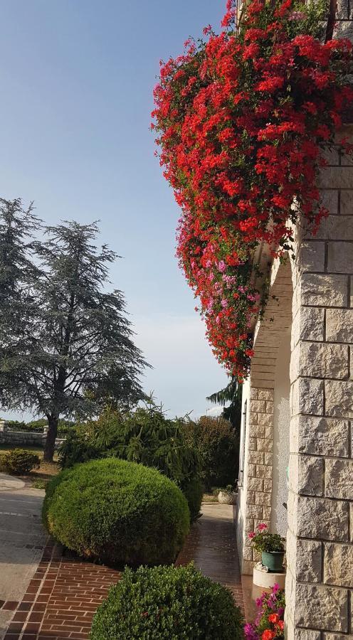 Holiday Apartment Villa Bianca - Low Season Rent Pazin Exterior foto