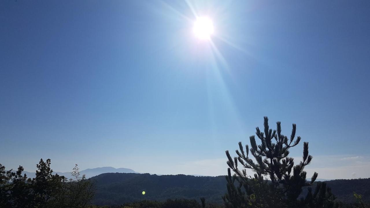 Holiday Apartment Villa Bianca - Low Season Rent Pazin Exterior foto